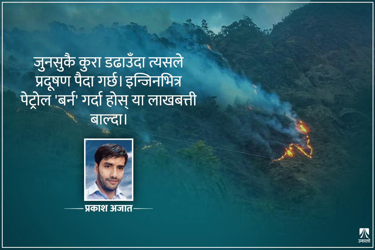 वन डढ्दा, आँखा पोल्दा किन कोही बोल्दैन?