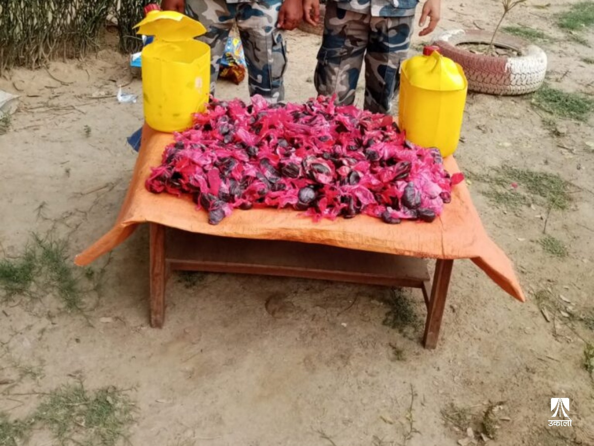 पोखरियामा खानेतेलको ग्यालेनभित्र भेटियो साढे २४ किलो चरेस