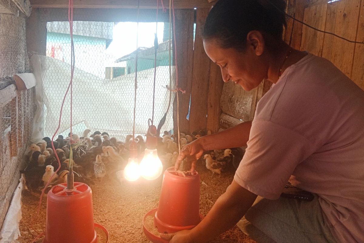 अनुदान दिएर उद्यम प्रोत्साहन गर्ने सूर्योदय नगरपालिकाको प्रयास