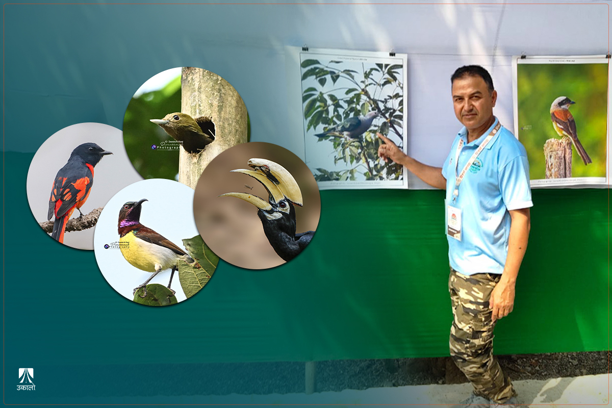 चरा हेर्न मेचीनगर जानू