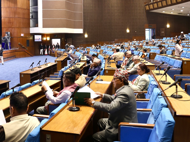 बाढीपहिरो र सवारी दुर्घटनाका घाइतेको निःशुल्क उपचार गर्न माग