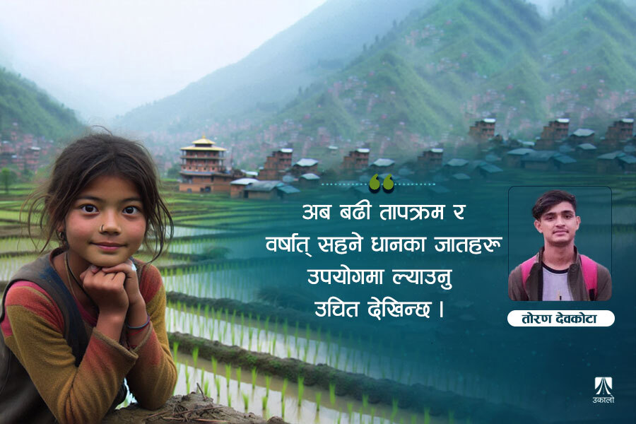 जलवायु परिवर्तनले धानखेतीमा पुर्‍याएको असर र समाधान