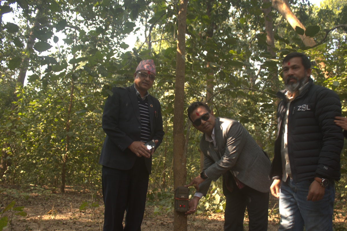 मानव र वन्यजन्तु द्वन्द्व घटाउन कम्दी करिडोरमा ९५ वटा क्यामरा जडान