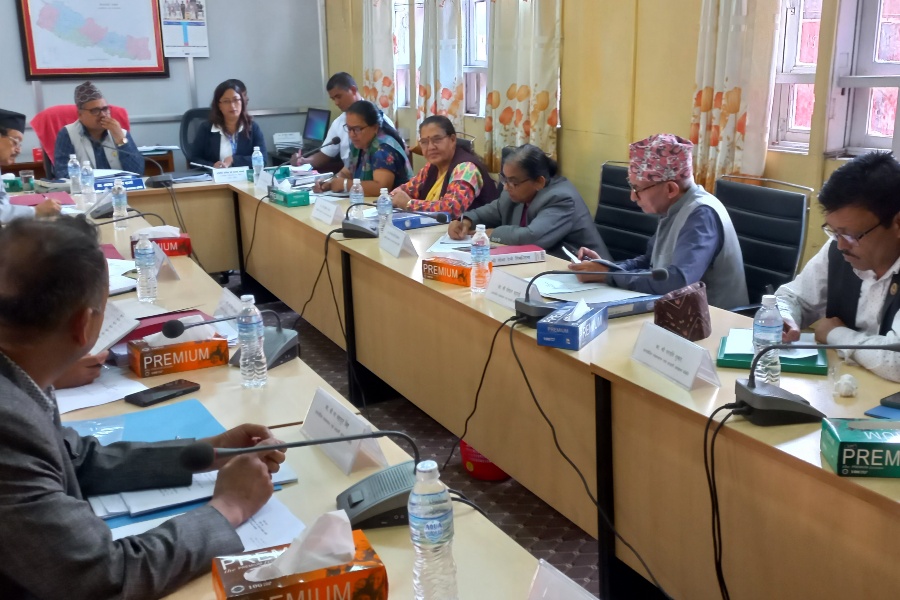 संसदीय समितिका सभापतिको उम्मेदवारी मनोनयन हुँदै