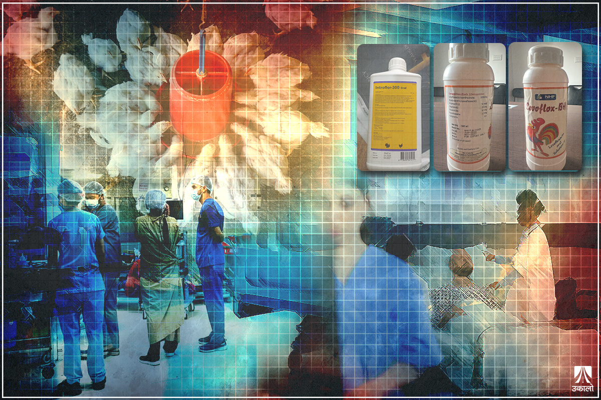 यसरी भइरहेछ औषधिका नाममा मान्छे मार्ने अपराध 