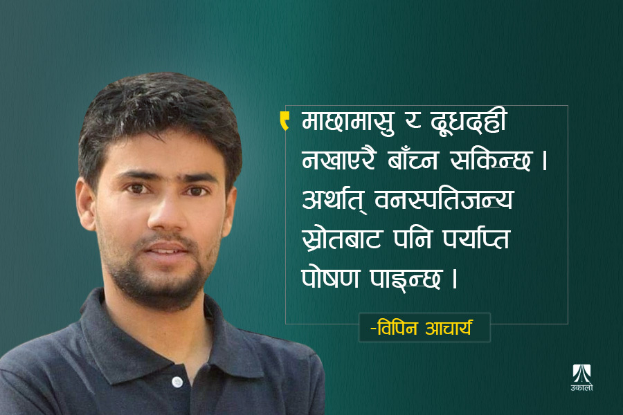 ‘भिगनिजम’को झोली बोकेर हिँड्दा…!