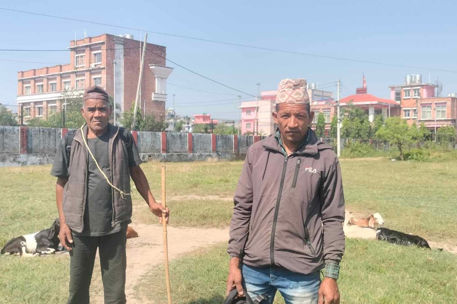 ‘बिक्री भएनन् खसीबोका, कसरी मनाउने दशैँ?’