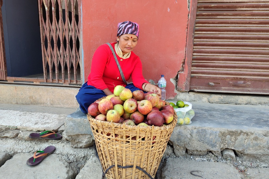 मीठो फलफूल बेच्ने धनमायाको नमीठो कथा