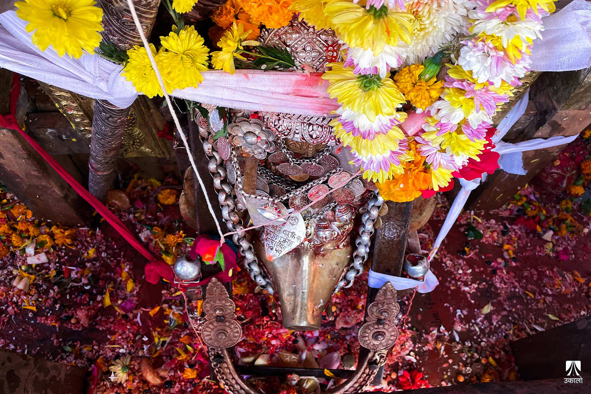 ३८ वर्षअघि हराएको मरष्ठी जात्रा ब्युँताउन संघर्षरत चापागाउँवासी