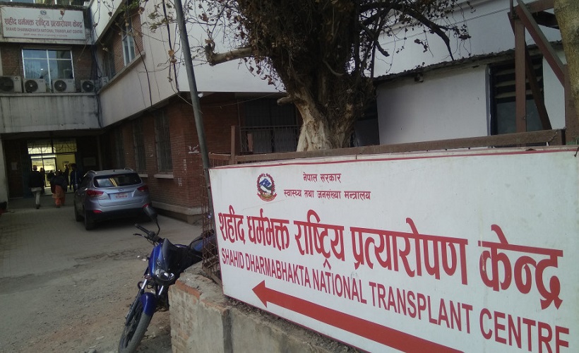 मस्तिष्क मृत्यु भएकाबाट प्राप्त कलेजो र मिर्गौला प्रत्यारोपण