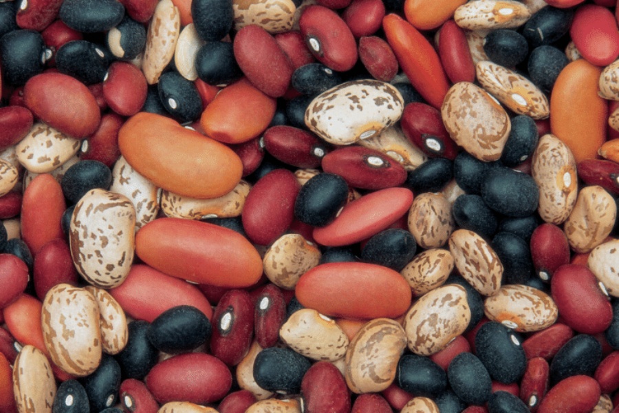 रारा गाउँमा  ३ करोडको सिमी उत्पादन