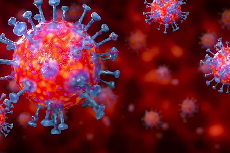 शुक्रबार थप १३६ जनामा कोरोना संक्रमण, ४०१ सक्रिय संक्रमित