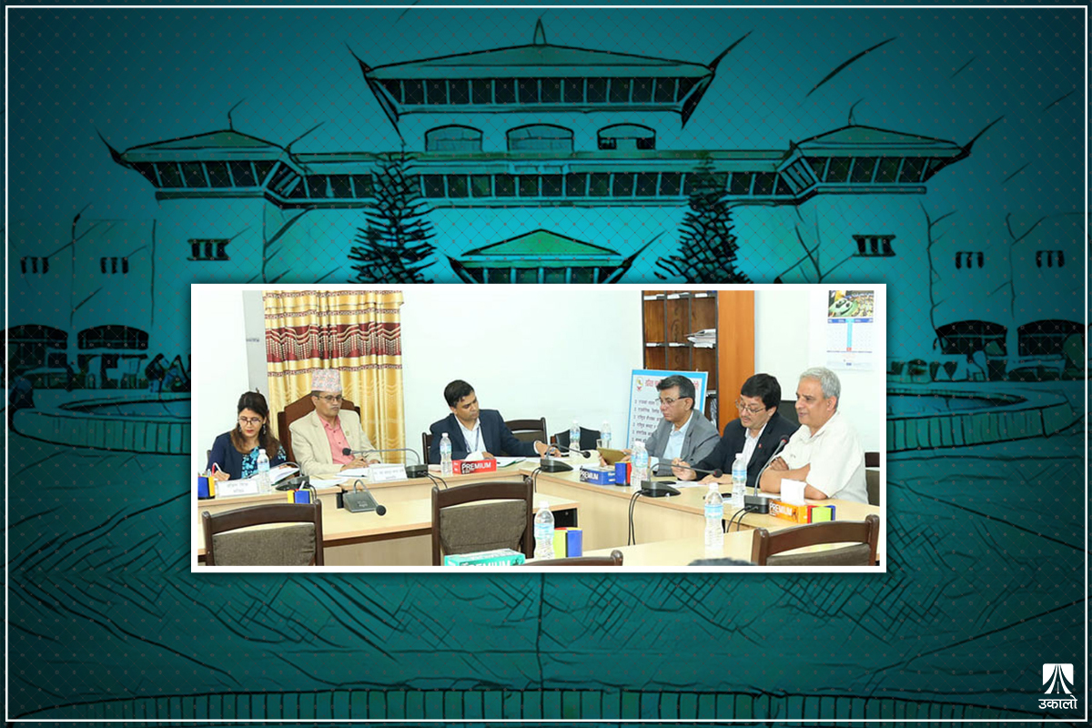 सहकारीको रकम अपचलन छानबिन समिति: २ महिनापछि आरोपीसँग सोधपुछ गर्ने तयारी