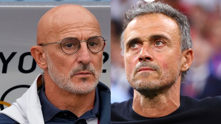 एनरिकेको राजीनामा स्वीकृत, फुइन्टे बने स्पेनका नयाँ प्रशिक्षक