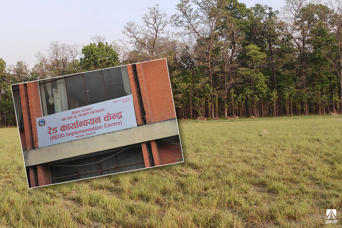 कार्बन बिक्रीबाट नेपालले करिब डेढ अर्ब पाउँदै, कसरी आउँछ पैसा?