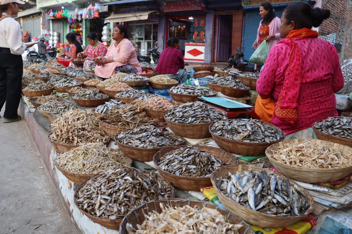 धरानमा फस्टाउँदै सिद्राको व्यापार