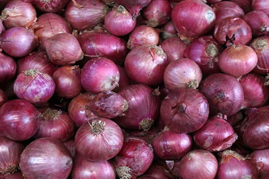 भारतले प्याज निर्यातमा लगायो ४० प्रतिशत महसुल, नेपालसहित एशियाली देशमा मूल्य बढ्ने