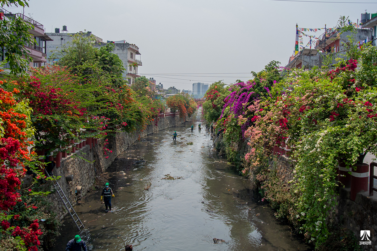 ढकमक्क फूलले ढाकेको रुद्रमती किनार फोहोरले दुर्गन्धित, चल्दैछ सफाइ (तस्वीरहरू)
