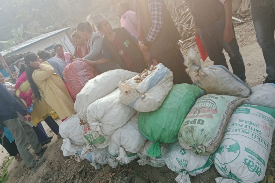 बेसार प्रवर्द्धन गर्दै माङसेबुङ: उत्पादन र बजारीकरणका लागि १३ बुँदे सम्झौता 