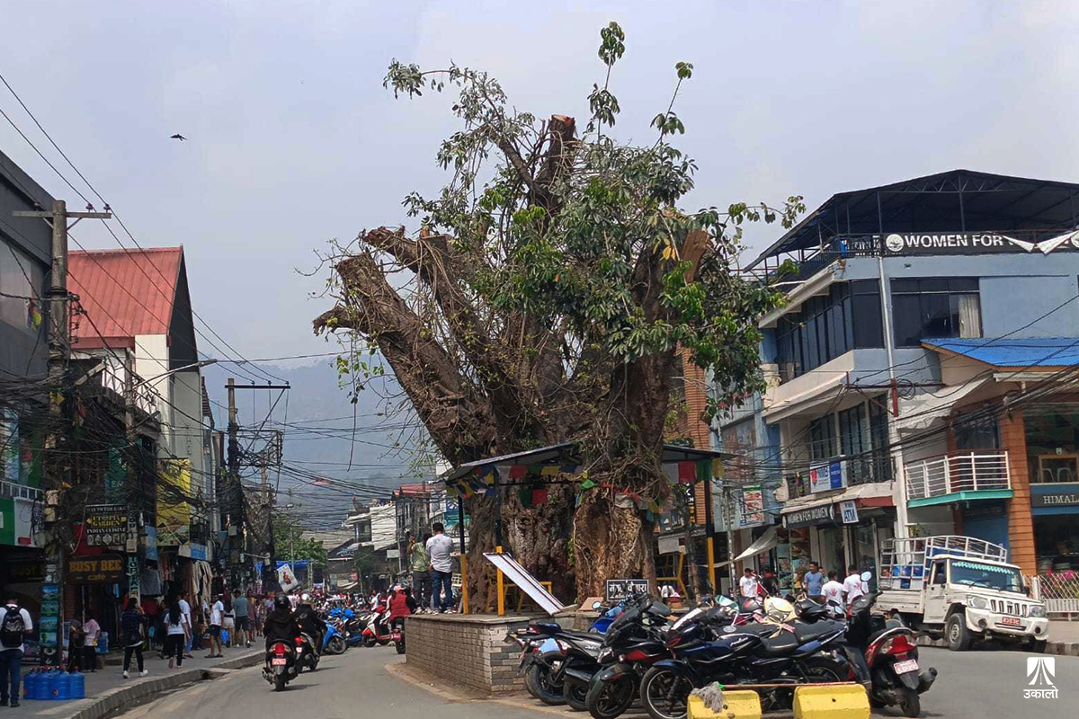 पोखराबाट हराउँदै छन् मौलिक संस्कृति झल्काउने चौतारो