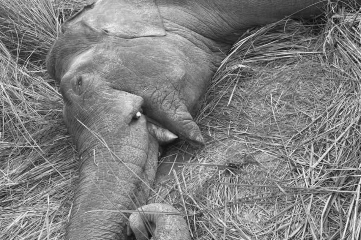 मकुना मृत्यु प्रकरण: सरकारले बनायो छानबिन समिति