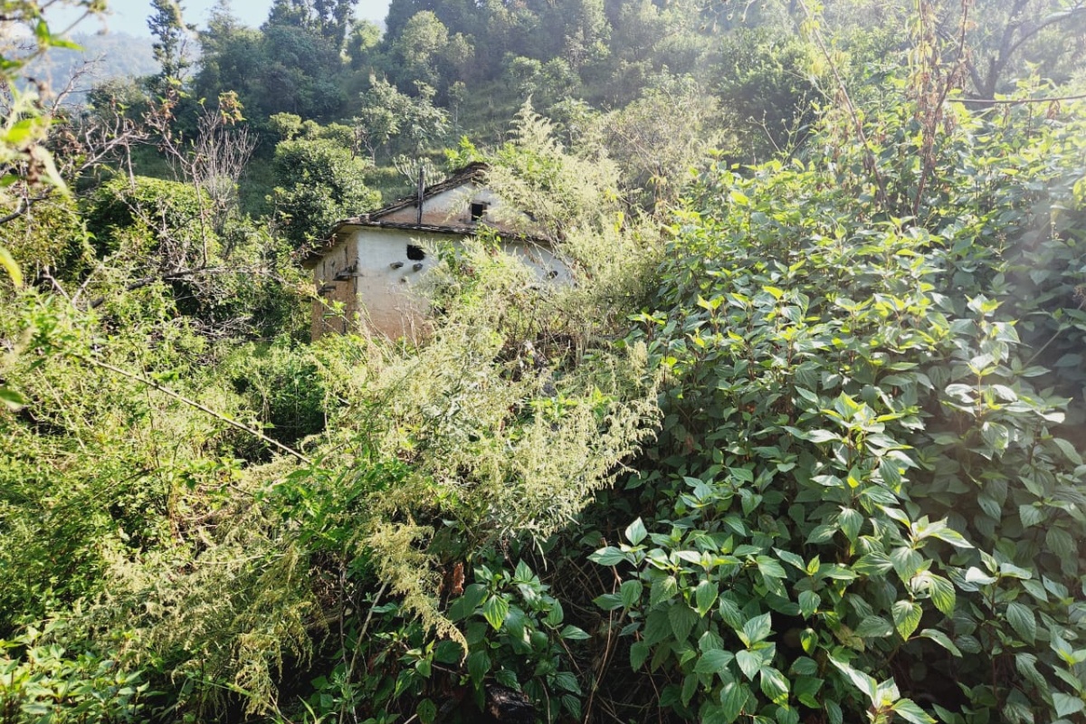 बसाइँसराइले रित्तिएको गडीगाउँ: न दौँतरी छन् न छिमेकी