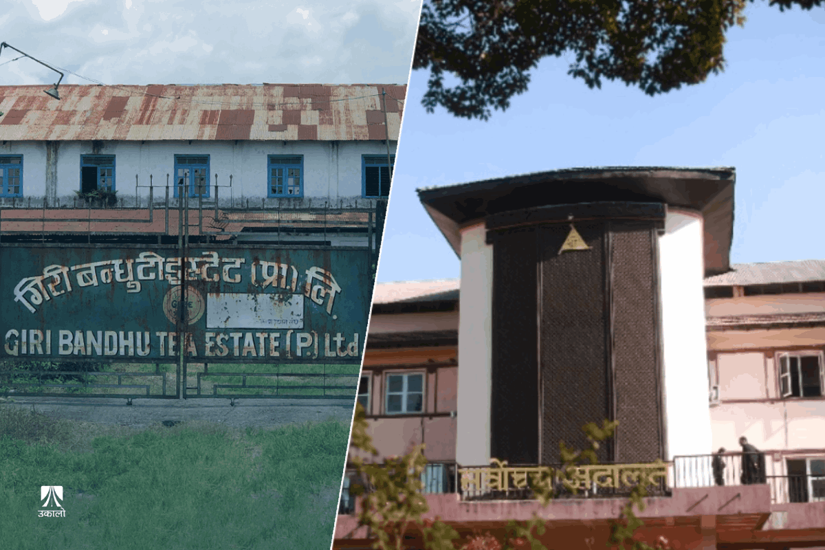 गिरीबन्धु मुद्दाको पूर्णपाठ : जग्गा साटफेरको निर्णय ‘अनुचित, अपरिपक्व र उधारो शर्तयुक्त’