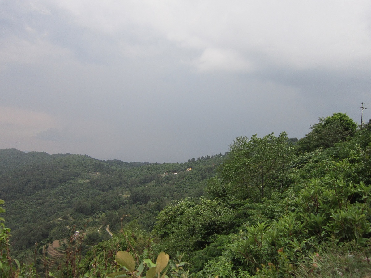 नगरकोट जंगलमा हराएका पर्यटकको १२ घण्टापछि उद्धार