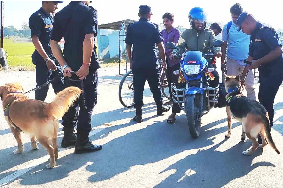 सीमा–नाकामा तालिमप्राप्त कुकुर प्रयोग गरी निगरानी