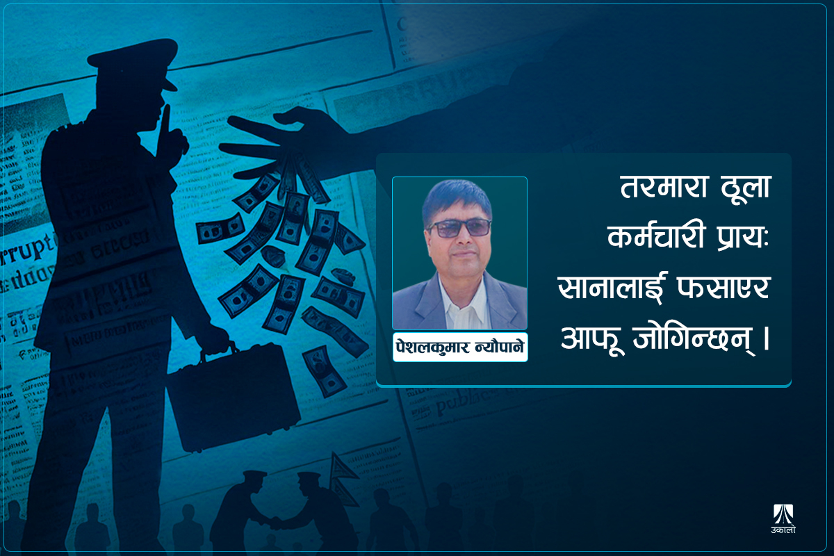 भ्रष्टाचार: एकै चोटमा मारिनदेखि 'धर्तीमै स्वर्ग भोग्न'सम्म !  