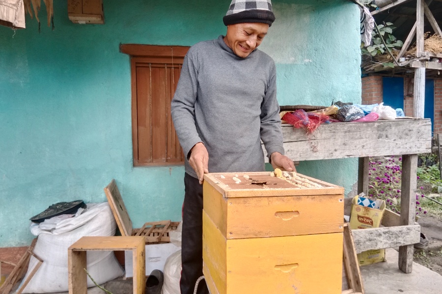 व्यावसायिक मौरीपालनमा रोङका किसान, ‘हनी बैंक’ स्थापनाको तयारी