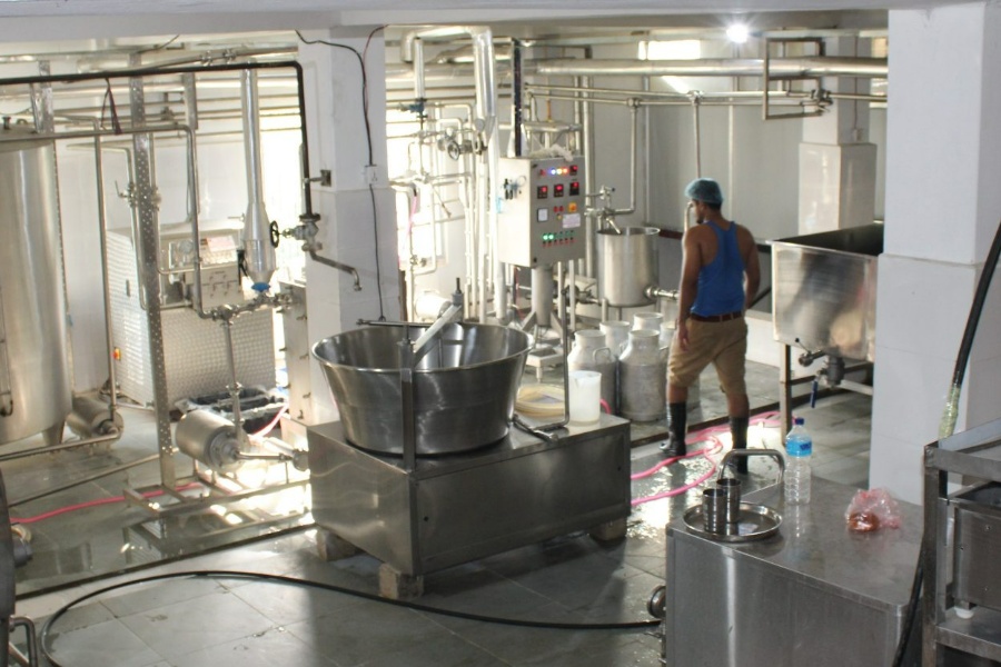 दुग्ध उद्योगले किसानलाई सहज, हट्यो दूध बिक्री नहुने समस्या 