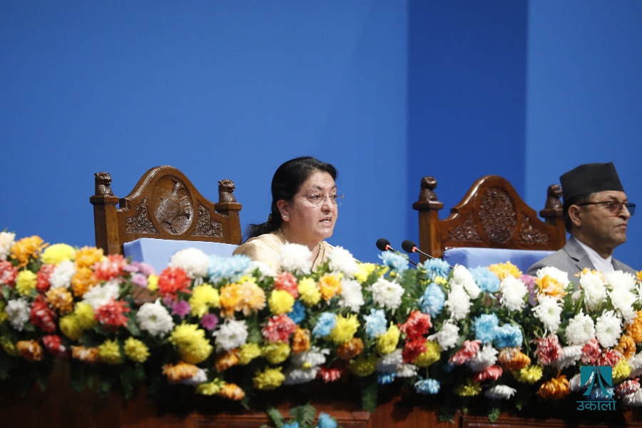 अर्थतन्त्र सुदृढीकरणमा गम्भीर बन्नुपर्छ, कोभिड र डेंगीलाई देखाएर पन्छिन मिल्दैन : राष्ट्रपति