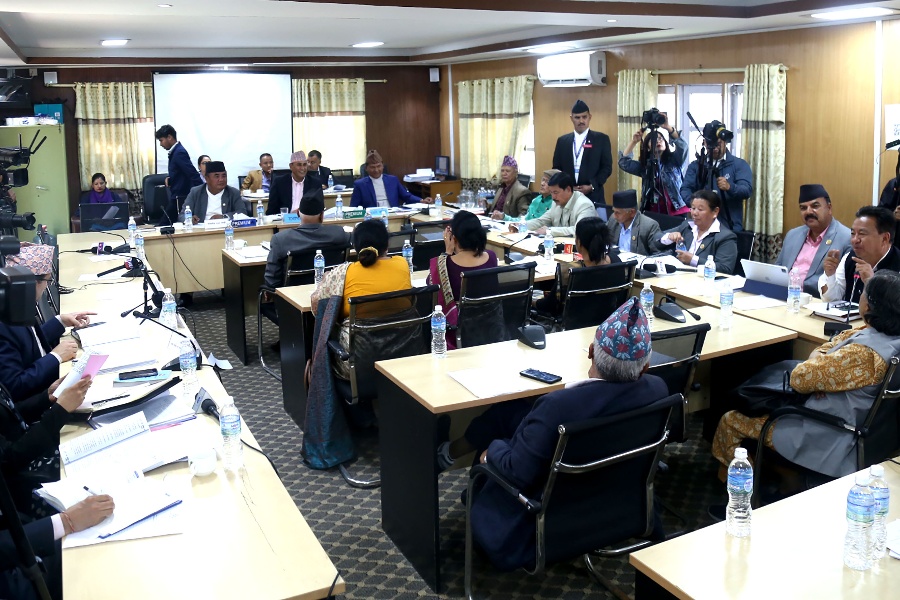 निजामती  विधेयकको नाम र प्रस्तावना मात्र अनुमोदन