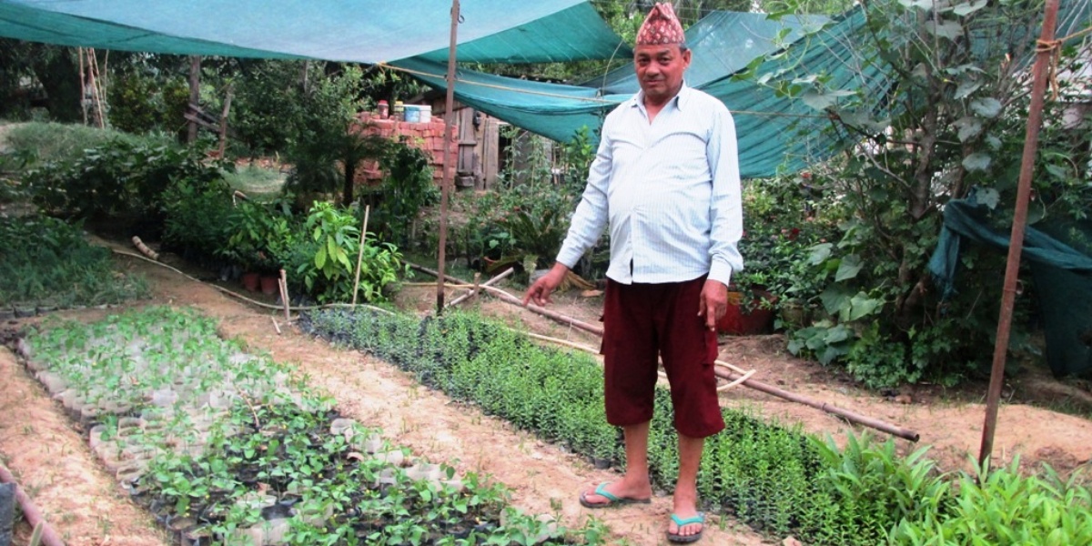 नर्सरी व्यवसायमा धामी परिवारका ३ दशक