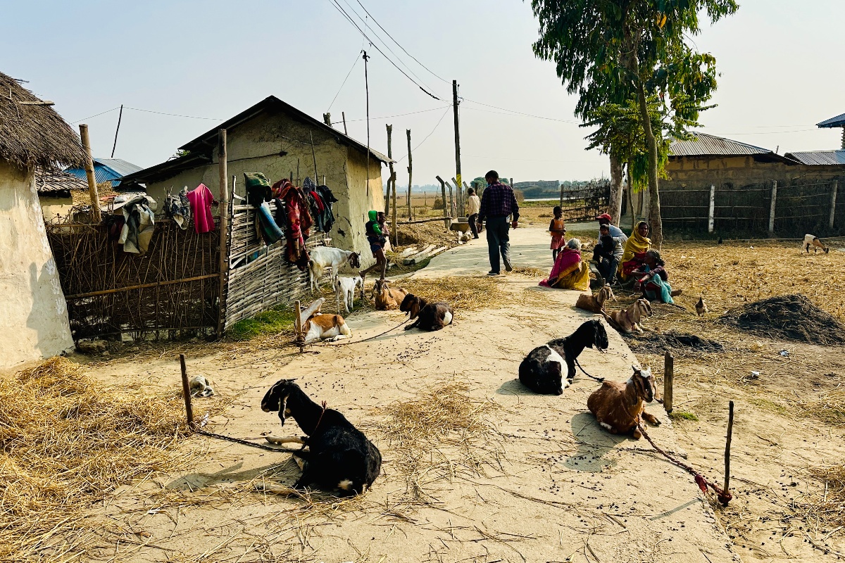 कृषि र पशुपालनमा रमाउँदै भटियाटोलका दलित महिला 