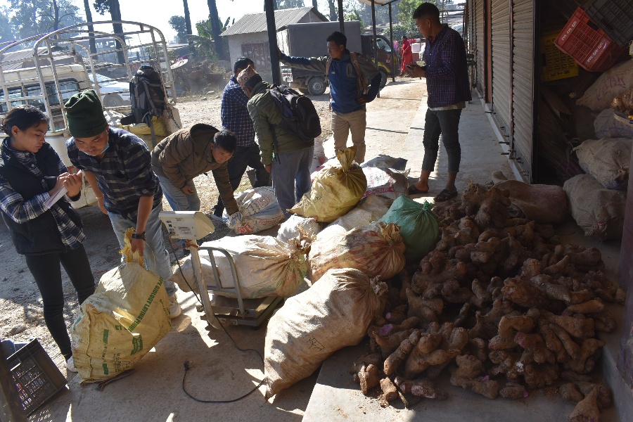 किसानलाई तरुल खनेर बजार लैजान भ्याइ नभ्याइ