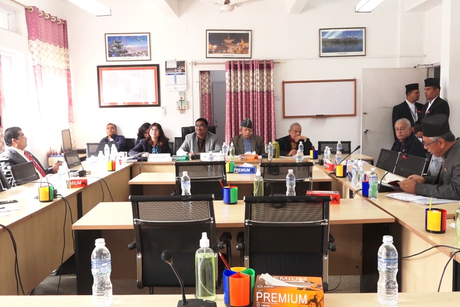 विपिनको बिनाशर्त रिहाइका लागि अन्तर्राष्ट्रिय समुदायसँग संसदीय समितिको आग्रह