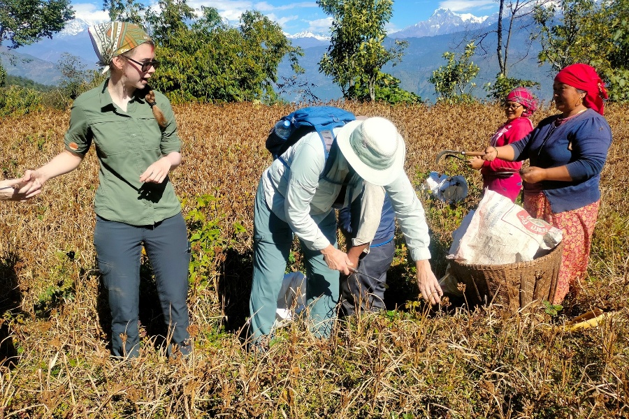 होमस्टेमा विदेशी पर्यटक: कोदो टिप्छन्, साग केलाउँछन्