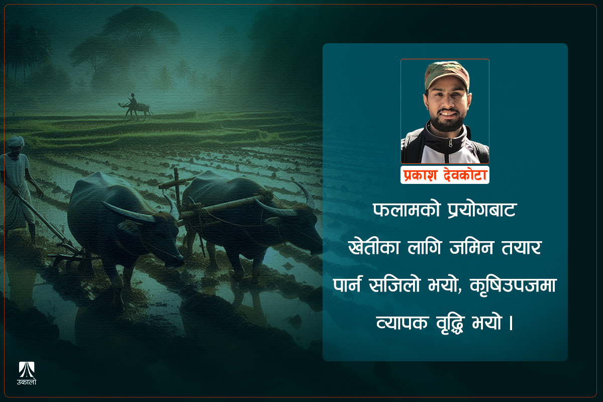 यसकारण 'जन्मिए' बुद्ध