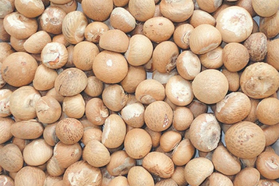 ‘पाम नट’ भन्दै सुपारी आयात, भन्सार विभागले थाल्यो अनुसन्धान