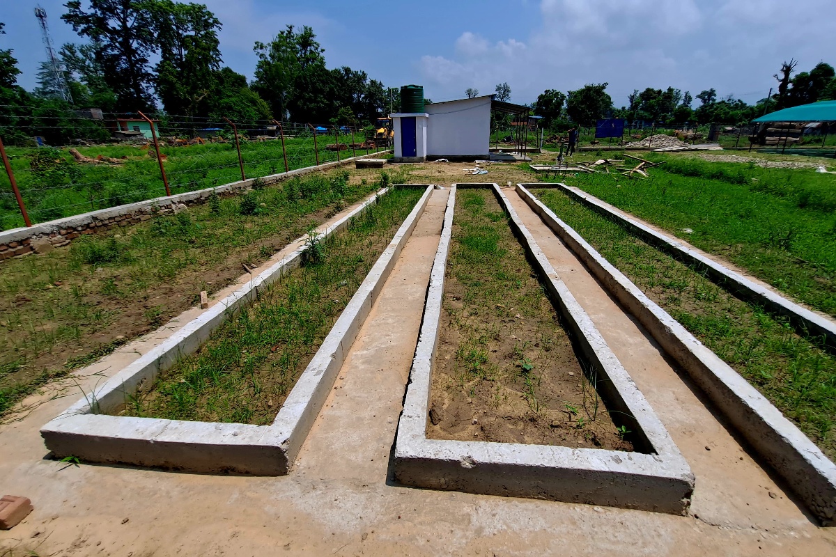 अतिक्रमित सरकारी जग्गामा ‘हाइटेक नर्सरी’