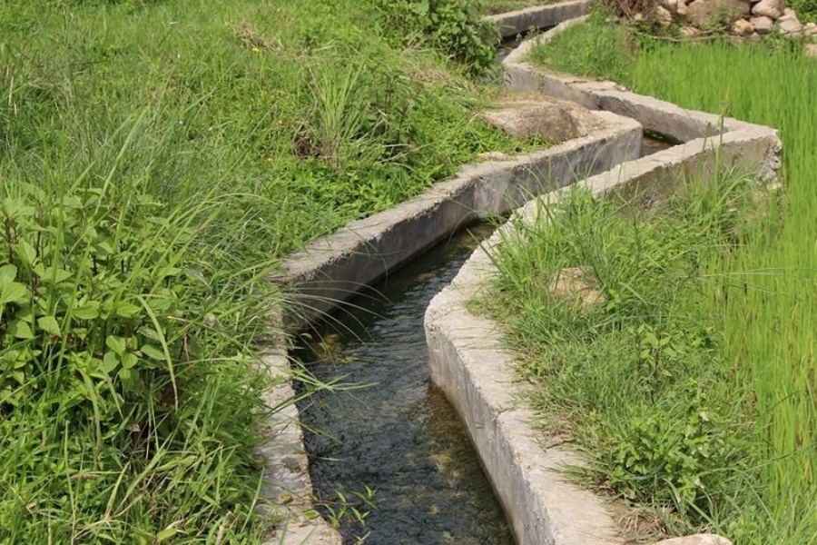 बागलुङको ८० प्रतिशत खेतीयोग्य जमिनमा छैन सिँचाइ