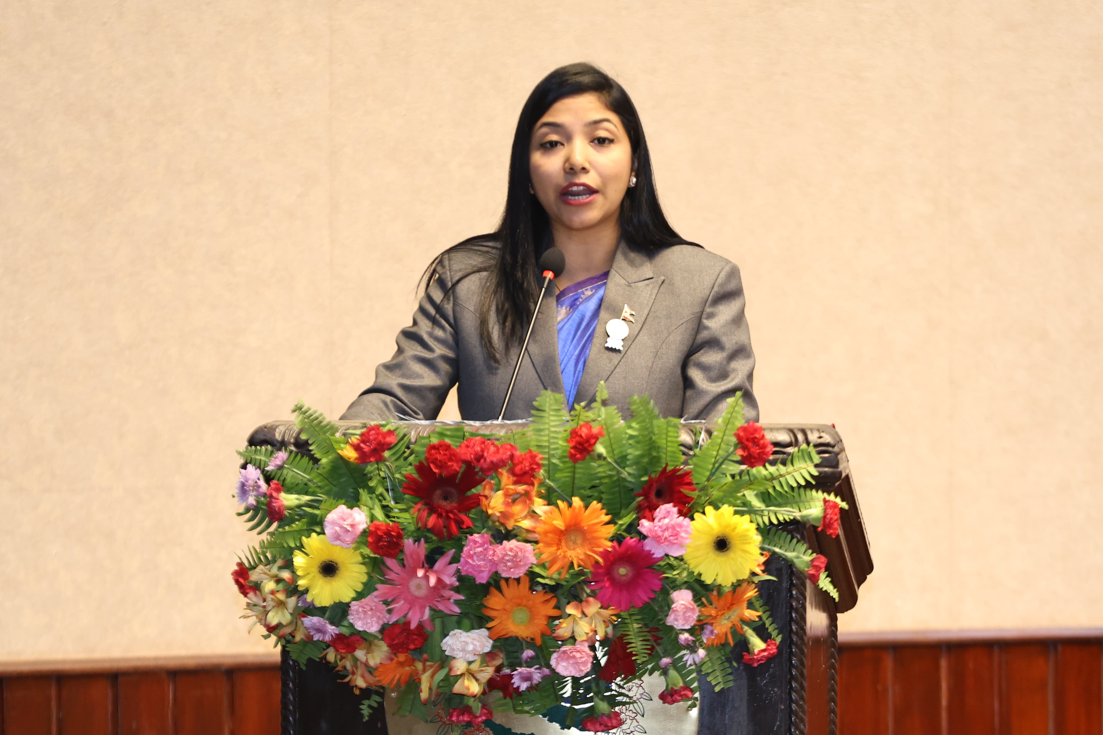 काठमाडौँ महानगरमा २५ अर्ब ७६ करोडको बजेट प्रस्तुत
