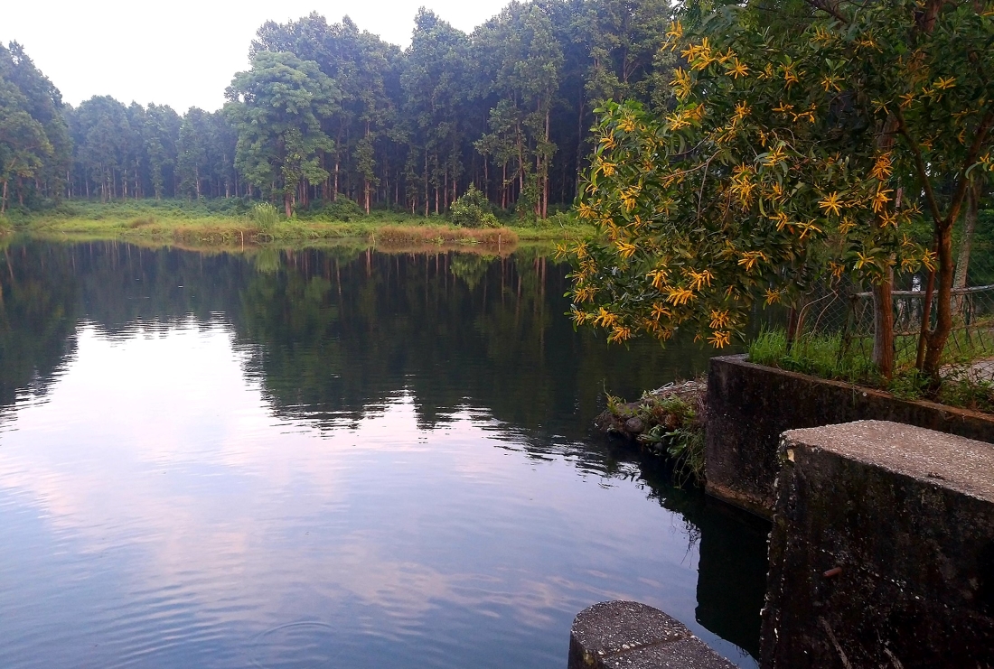 संरक्षण अभावमा मासिँदै सिमसार क्षेत्र 