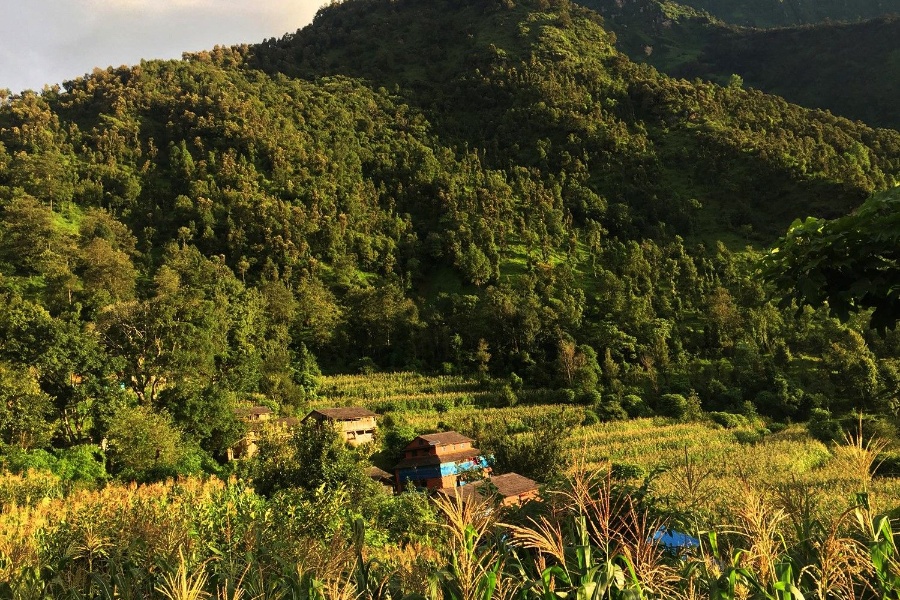विदेश पलायन र बसाइँसराइले रित्तिएको ‘टोकरीगाउँ’