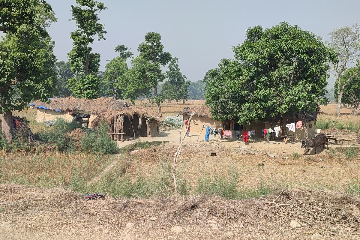 २४ वर्षदेखि न्यायको पर्खाइमा शुक्लाफाँटा आरक्षका विस्थापित 
