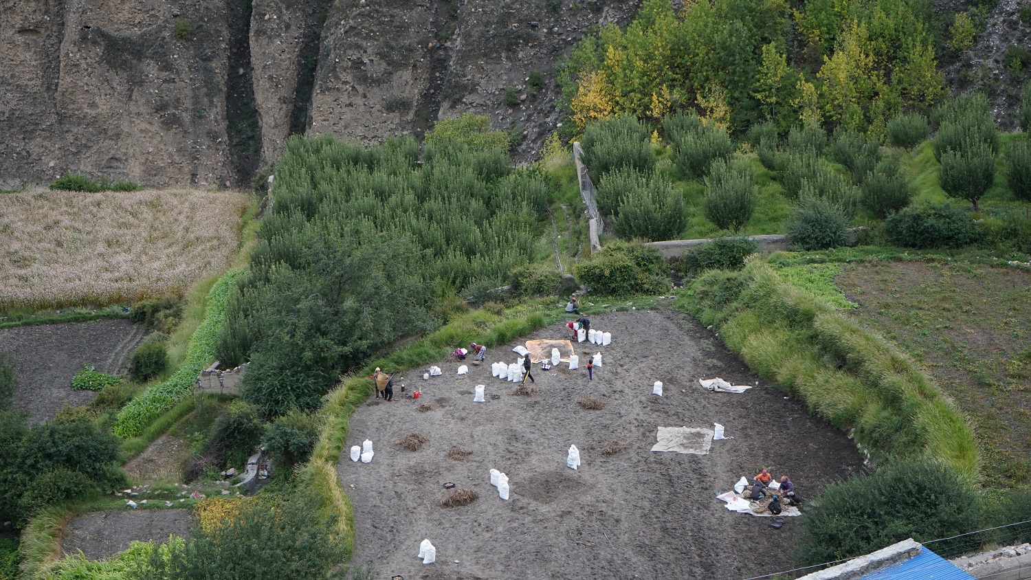मुस्ताङमा आलु ‘जोन’ सञ्चालन