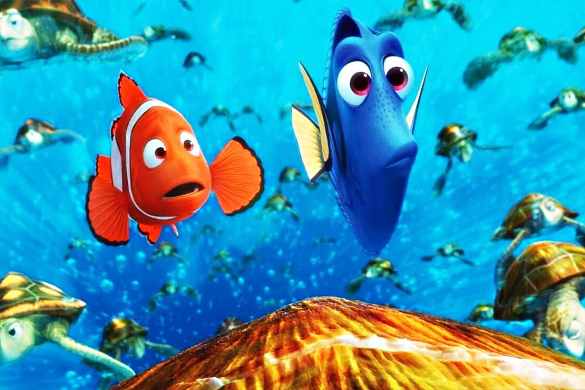 फाइन्डिङ निमो: जलवायु परिवर्तनसँग जुध्दै बाँच्न सिकेको माछा