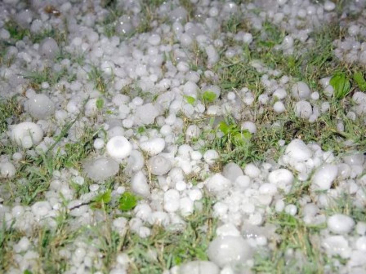 बैतडीमा असिनाले गहुँबाली र तरकारीमा क्षति